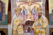 Ανώτατη Τιμητική Διάκριση στον Αιτωλοακαρνανίας Δαμασκηνό από την Ι. Μητρόπολη Δημητριάδος